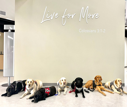 Detective Greg Miller with Hudson during duty