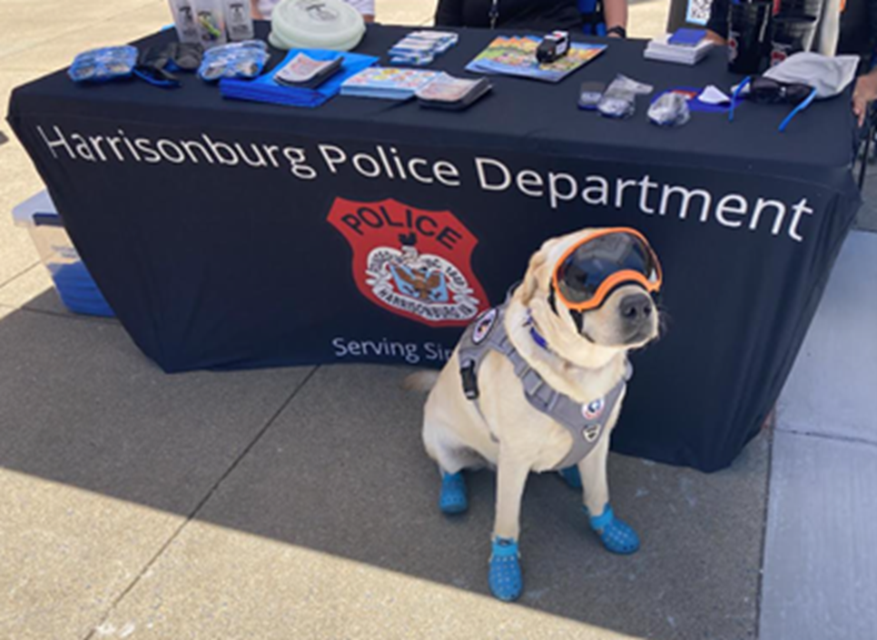 Hudson, Facility Dog